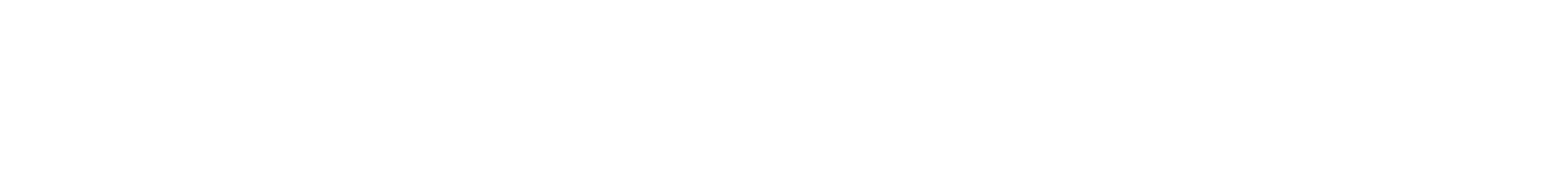 blog divider